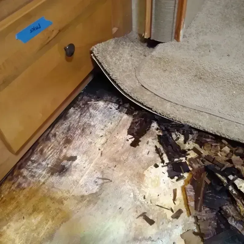 Wood Floor Water Damage in Edwardsburg, MI